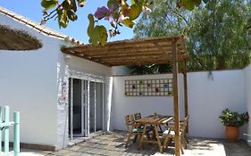 Casa-Estudio Pachamama